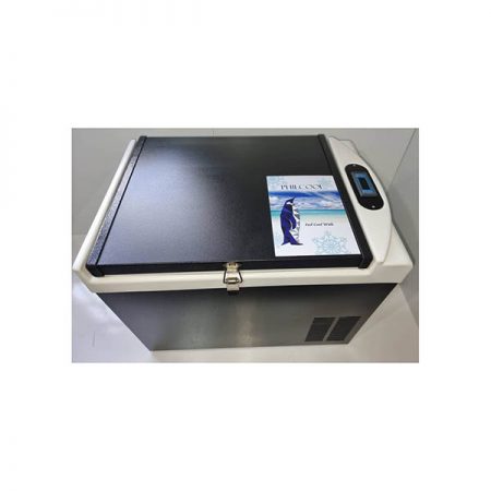 یخچال خودرو کمپرسوردار PHILCOOL