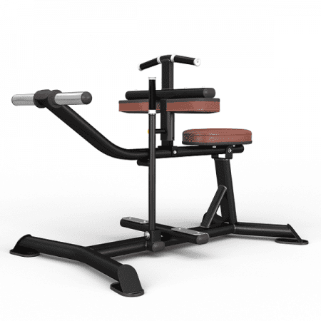 ساق پا وزنه آزاد Seatad Calf Raise