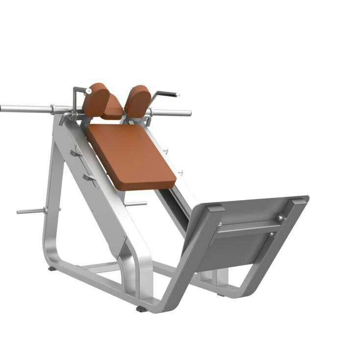 دستگاه هاگ پا Precor(cybex)