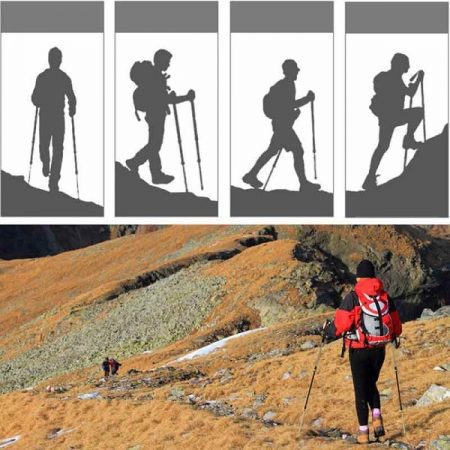 NATURHIKE STO5 5-NODE CARBON Z FOLDING TREKKING POLE