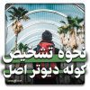 نحوه تشخیص کوله دیوتر اصل