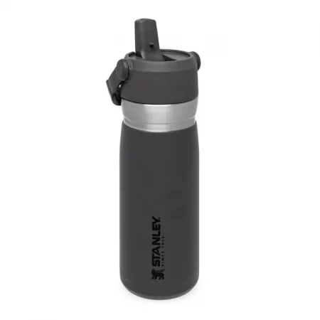 قمقمه استنلی مدل STANLEY GO FLIP STRAW WATER BOTTLE 0.65L
