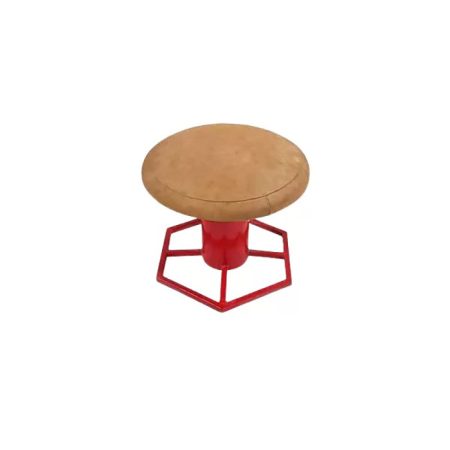 قارچ ژیمناستیک پایه چندضلعی