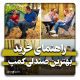 خرید بهترین صندلی کمپ