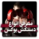 انواع دستکش بوکس