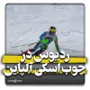 ردیوس در چوب اسکی آلپاین