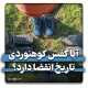 عمر مفید کفش کوهنوردی با بررسی تاریخ انقضا کفش کوه