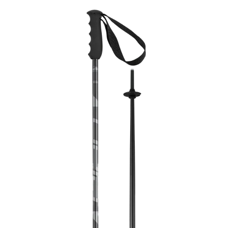 باتوم اسکی آلپاین ELAN SPEEDROD BLACK 2025