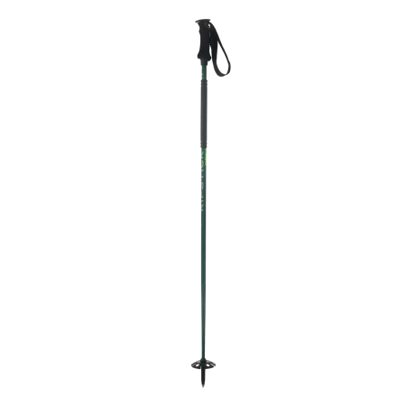 باتوم اسکی ELAN RIPSTICK ROD
